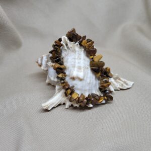 Tijgeroog_splitarmband